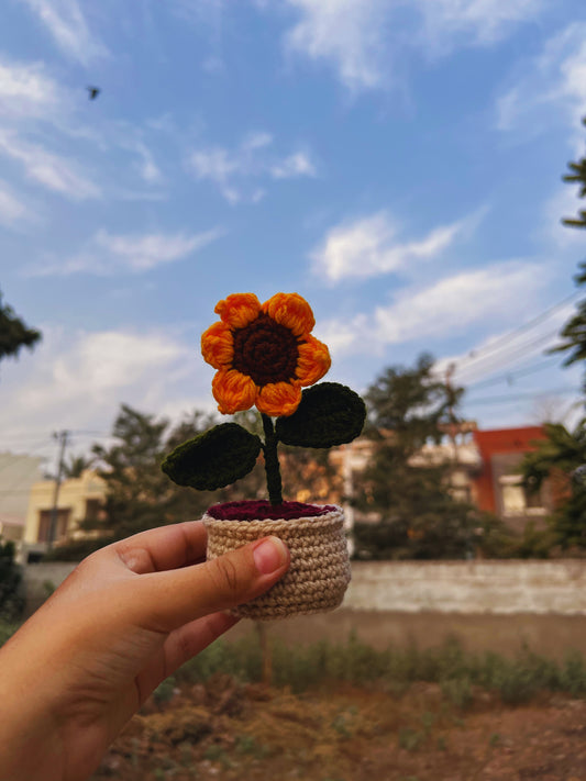Mini sunflower pot