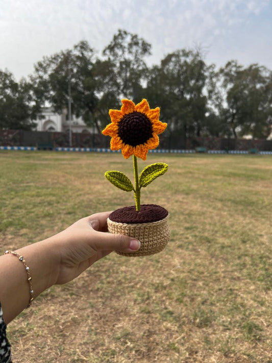 Large Sunflower pot