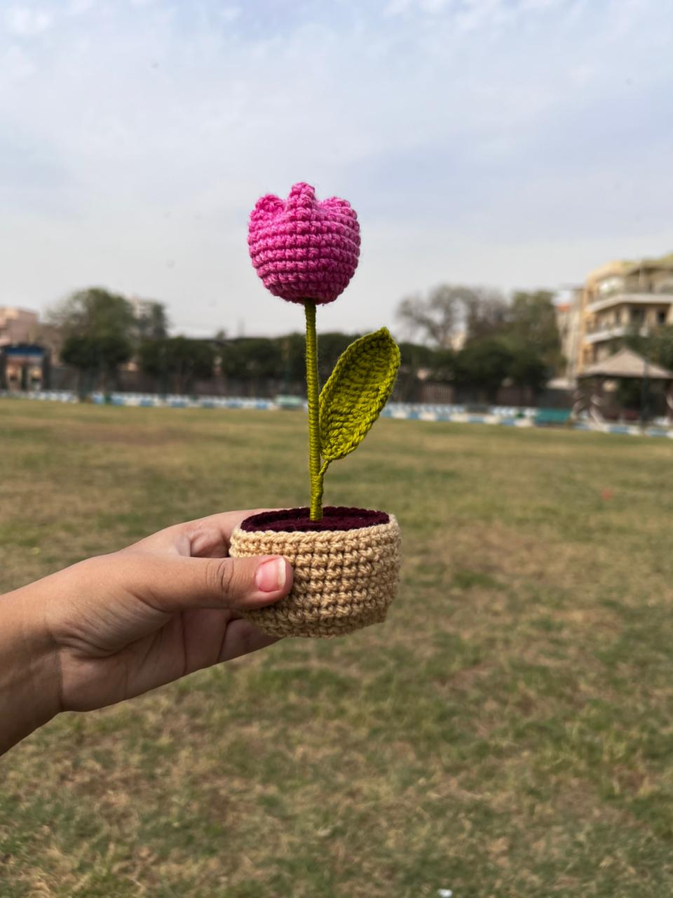 Tulip pot