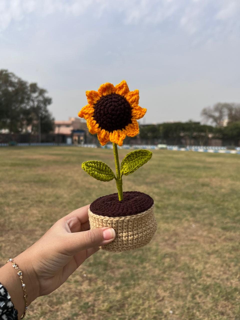Large Sunflower pot