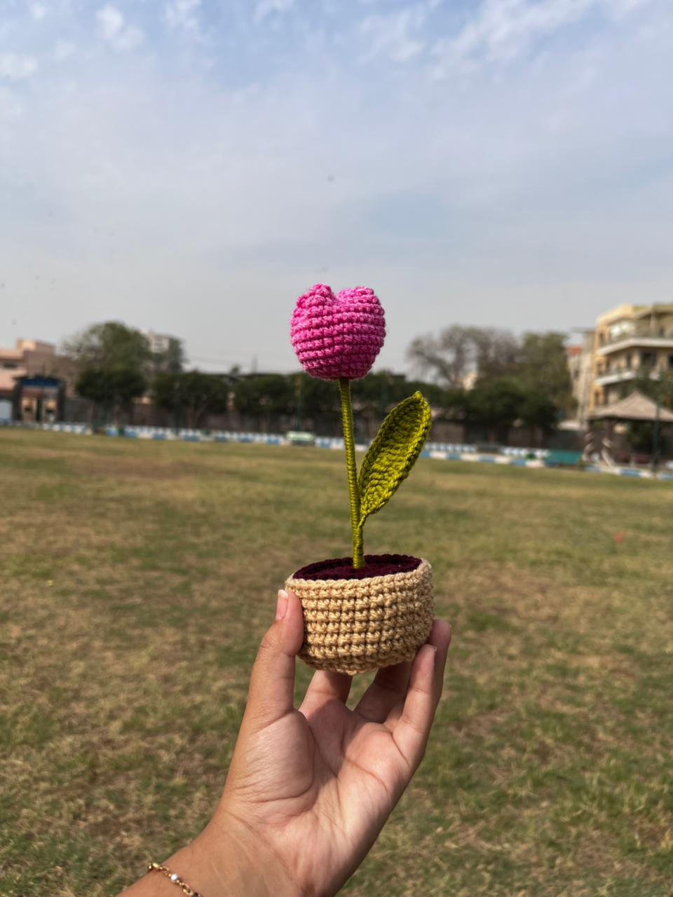 Tulip pot
