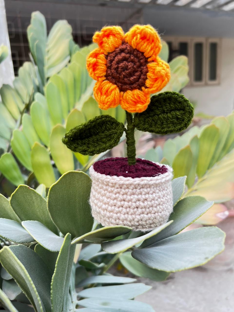 Mini sunflower pot